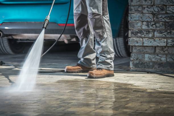 Best Soft Washing  in Lus Valley Marinwood, CA