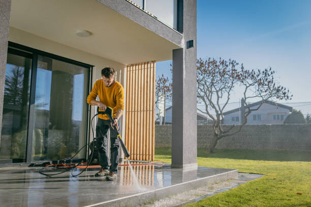 Best Roof Washing  in Lus Valley Marinwood, CA